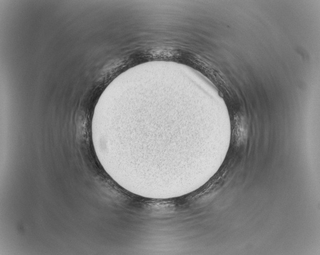 X0000115640619200912081105