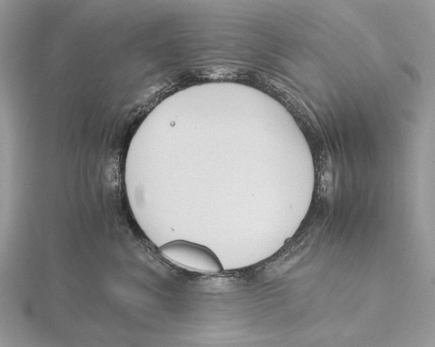 X0000115640620200912081105