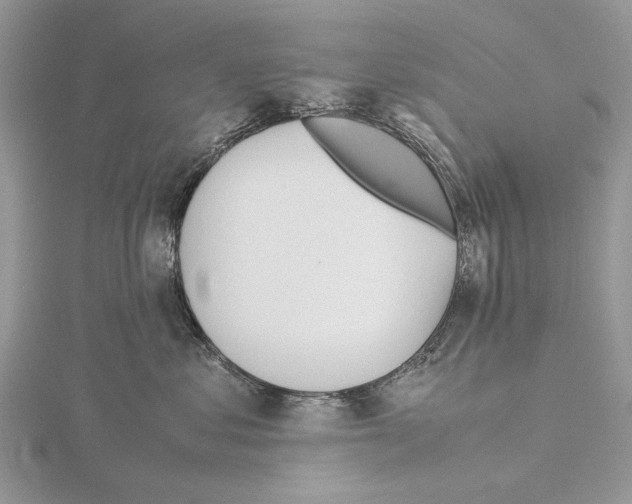 X0000115640621200912081105