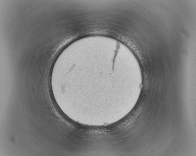 X0000115640625200912081105