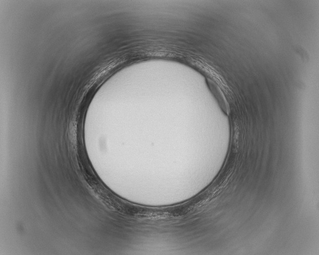X0000115640626200912081105
