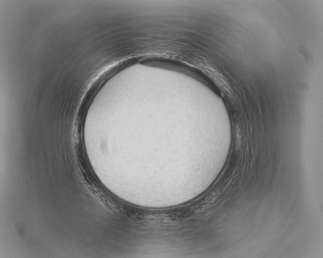 X0000115640628200912081105