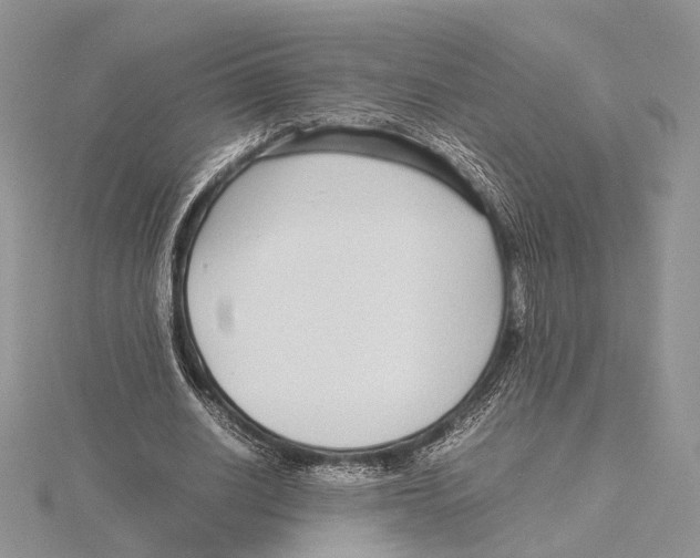 X0000115640630200912081105