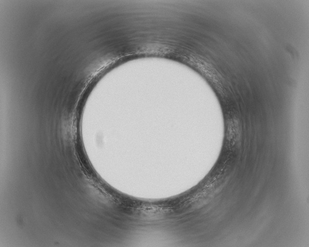 X0000115640632200912081105