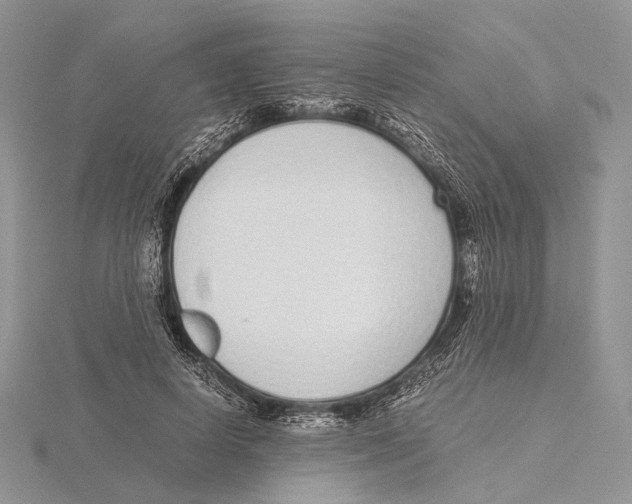 X0000115640642200912081105