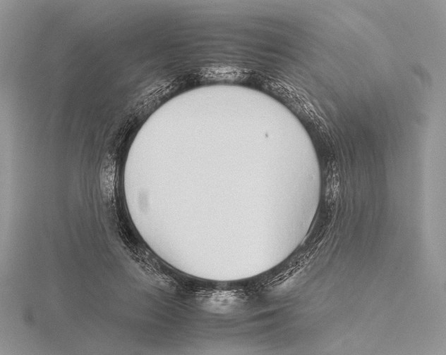X0000115640647200912081105