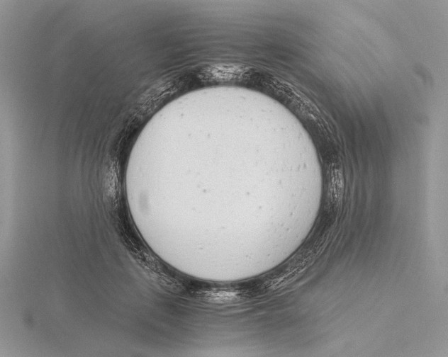 X0000115640651200912081105