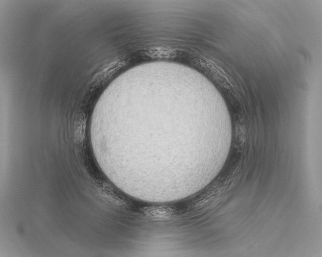 X0000115640652200912081105