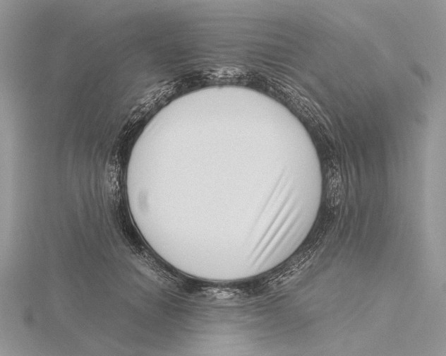 X0000115640654200912081105