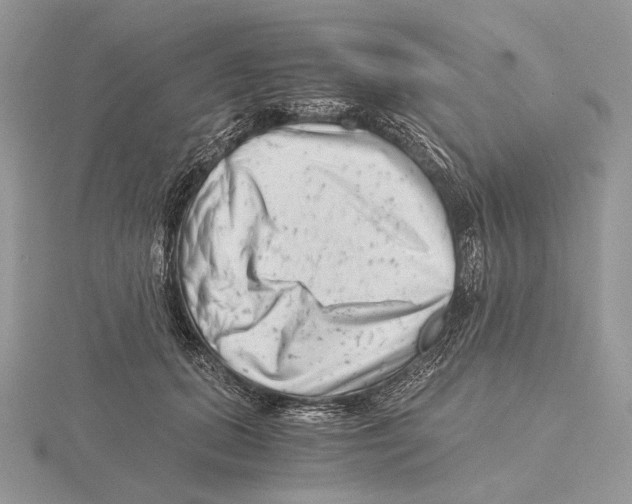 X0000115640655200912081105