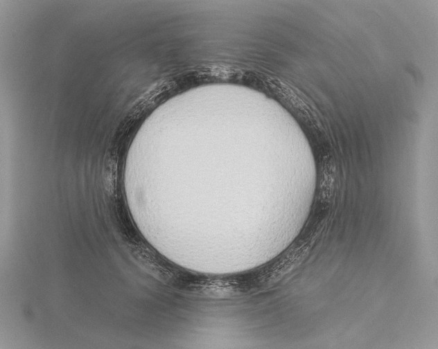 X0000115640656200912081105