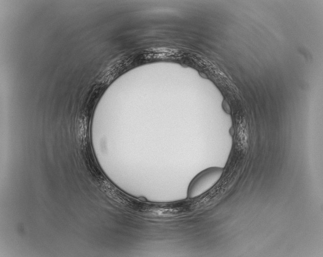 X0000115640657200912081105