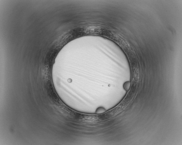X0000115640659200912081105