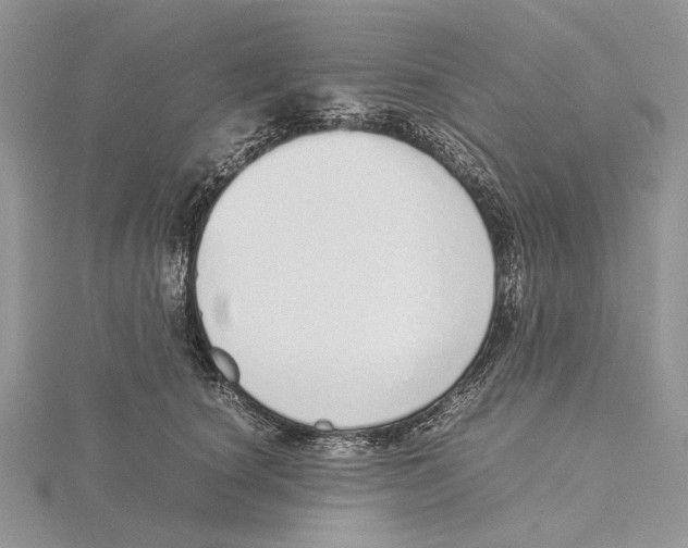 X0000115640660200912081105