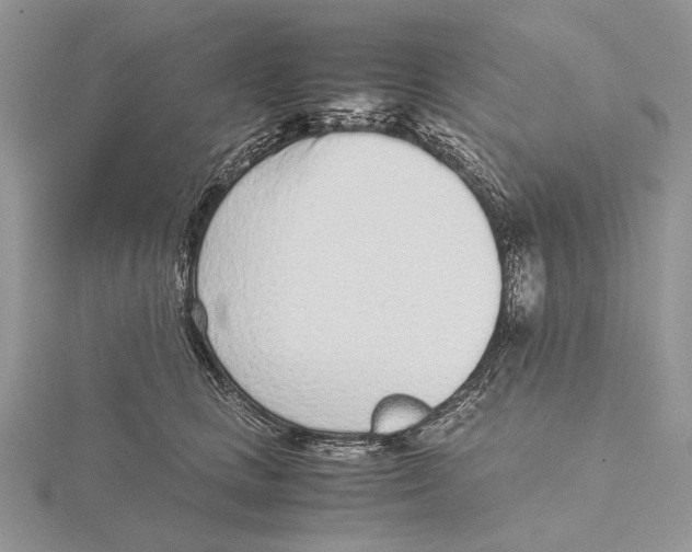 X0000115640661200912081105