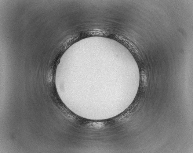 X0000115640665200912081105