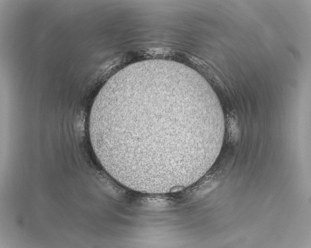 X0000115640668200912081105