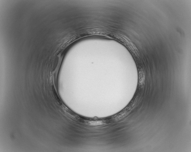 X0000115640669200912081105