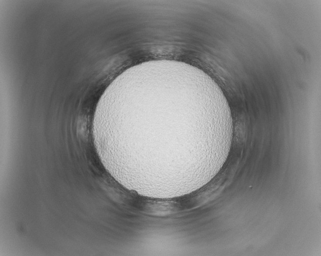 X0000115640671200912081105