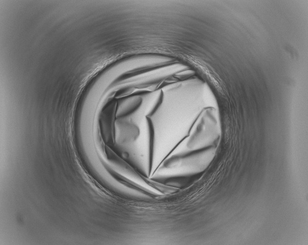 X0000115640677200912081105