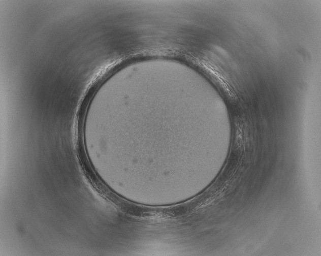 X0000115640678200912081105