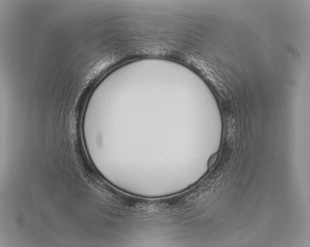 X0000115640679200912081105