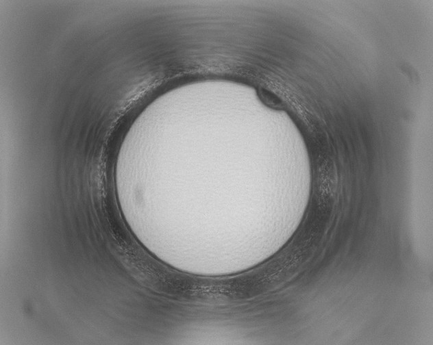 X0000115640680200912081105