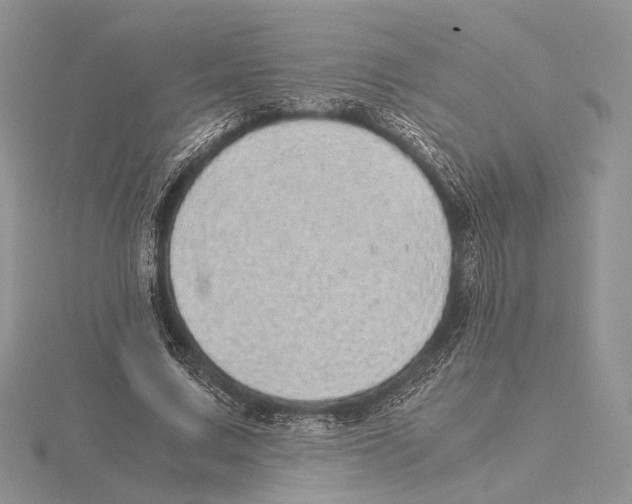 X0000115640683200912081105
