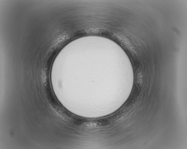 X0000115640687200912081105