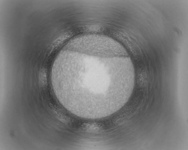 X0000115640688200912081105