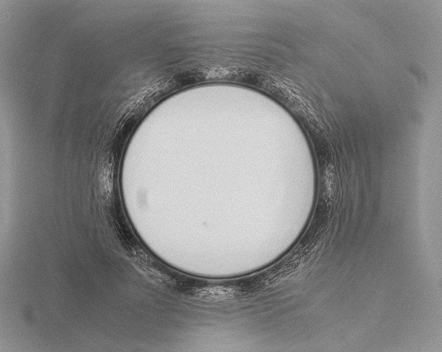 X0000115640691200912081105