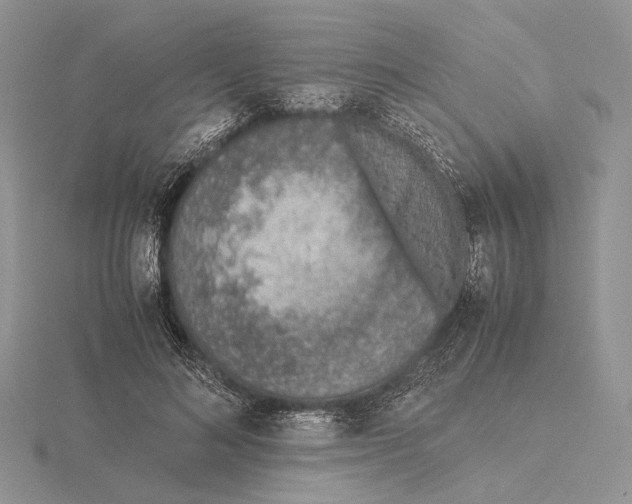 X0000115640692200912081105