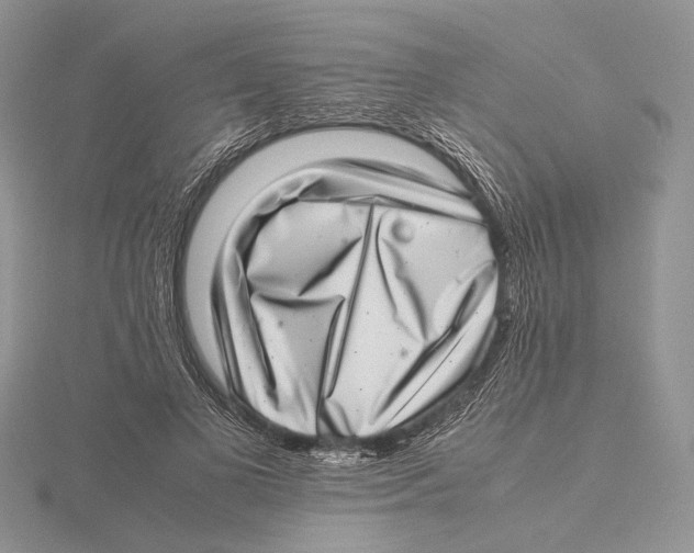 X0000115640693200912081105