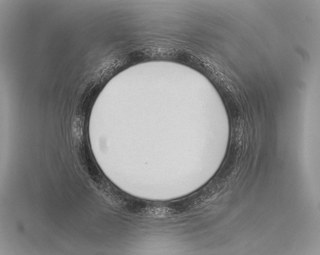 X0000115640695200912081104