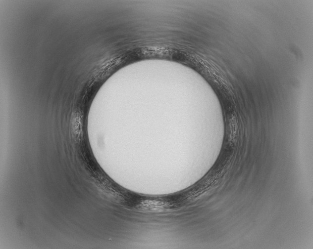 X0000115640699200912081104