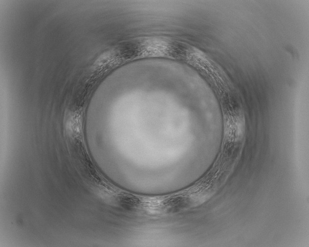 X0000115640701200912081104