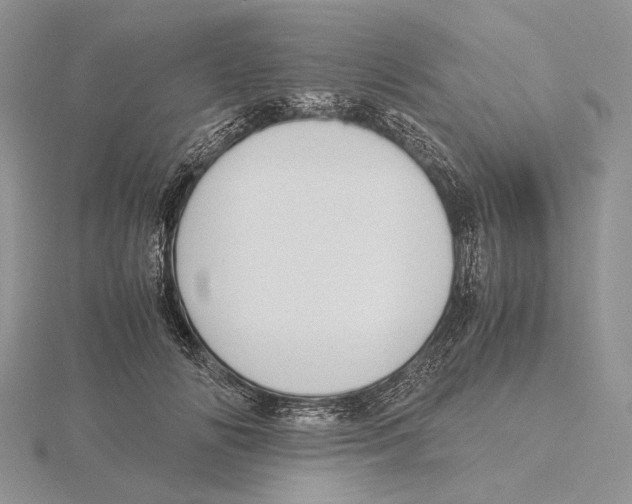 X0000115640702200912081104