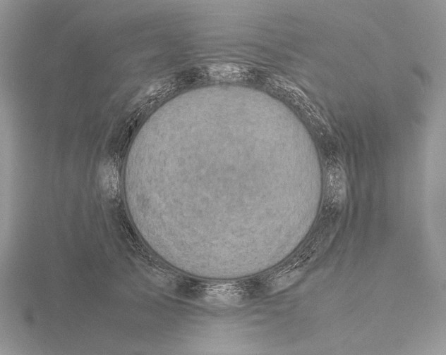 X0000115640705200912081104