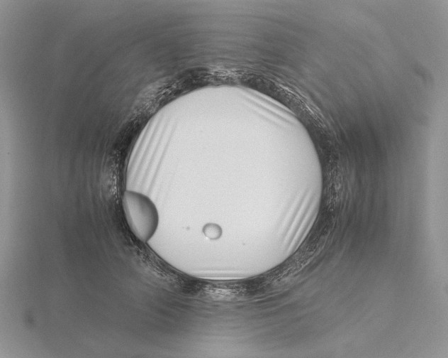 X0000115640706200912081104