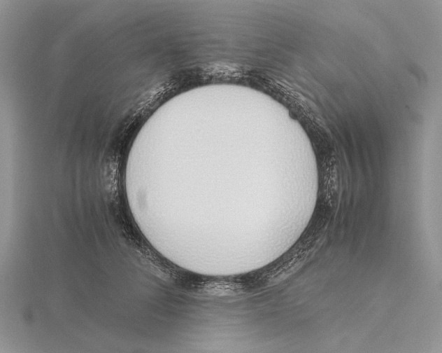 X0000115640708200912081104