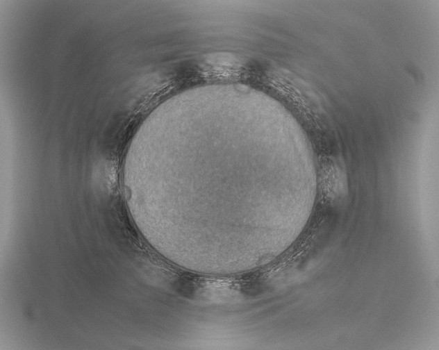 X0000115640709200912081104
