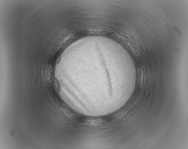 X0000115640712200912081104
