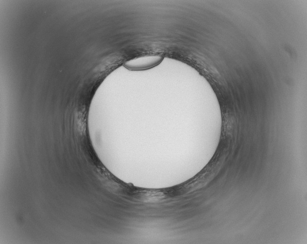 X0000115640719200912081104