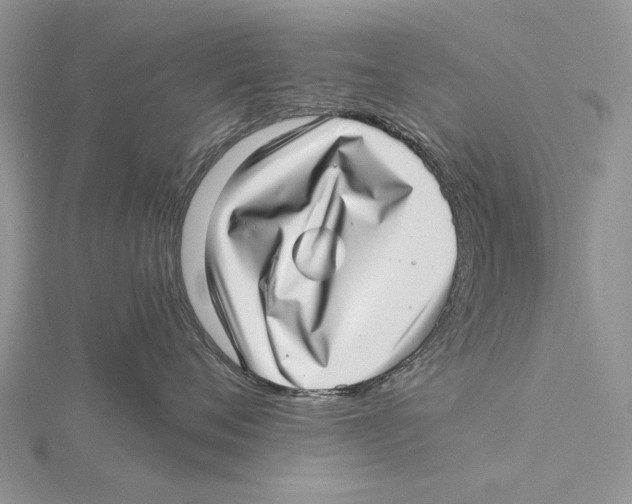X0000115640720200912081104