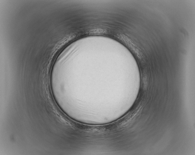 X0000115640721200912081104
