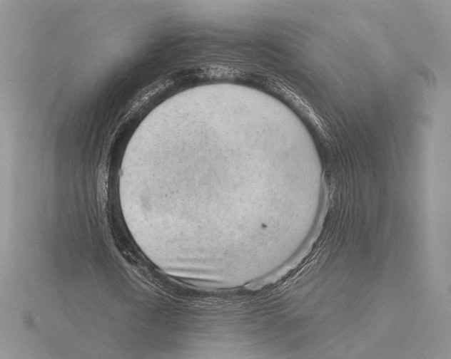 X0000115640722200912081104