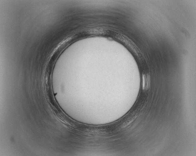 X0000115640723200912081104