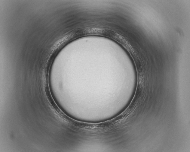 X0000115640725200912081104