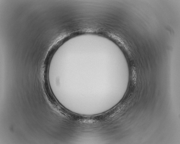 X0000115640730200912081104