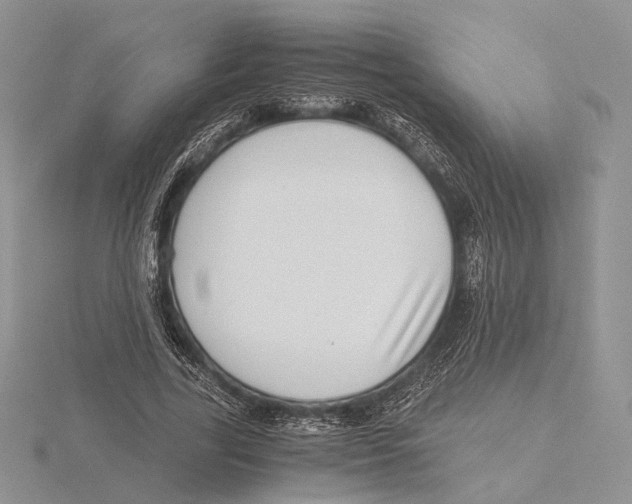 X0000115640731200912081104
